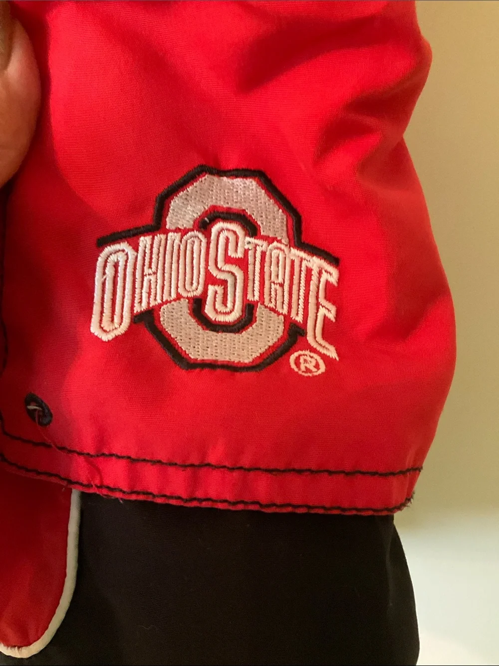 Men’s Size Large Ohio State Lined Swim Trucks, Great Condition!
